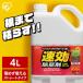 ������ �X�g���[�g�^�C�v 4L �P�i �A�C���X�I�[���} ���� 4���b�g�� ���ނ��� �� �H �G�� ���� �� ����� �K�[�f�j���O �G�� �t�� ��
