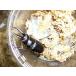  Prosopocoilus inclinatus маленький пара 