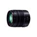 �p�i�\�j�b�N LUMIX G VARIO/14-140mm/F3.5-5.6IIASPH./POWER O.I.S. �u���b�N ���{���Y�[�������Y ���~�b�N�X Panasonic