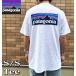 �y�݌ɏ����z PATAGONIA �p�^�S�j�A P-6 Logo Short Sleeve T-shirts ���S T�V���c 38504