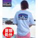 �y�ĕ������z �y�����ɃI�X�X���z PATAGONIA �p�^�S�j�A Fitz Roy Horizons Short Sleeve T-shirts ���S T�V���c 38501 �����Y��� 2023�N�āE�V�샂�f��