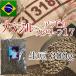 �R�[�q�[���� �u���W�� �A���r�J �X�N���[��17 ���� 300g ���� ���� �y�|�X�g�����ցz