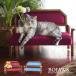 BOJAWS Kids & домашнее животное диван love sofa -BOPT0128