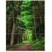 ¹͢ʡ Designart Dreamy Greenery in Dense Large Forest Wall Art Х - 28X36 3ԡ 28 x 36 x 1 (⤵xxԤ) 3P