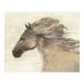 ���¹�͢���ʡ� Horse Mane Flowing - Animal Wall Art Decor, Equestrian Themed Beautiful Stallion Wall Art Hand-painted Replica Print Perfect for Home
