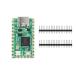 [ параллель импортные товары ] WisdPi Tiny RP2040 | Raspberry Pi RP2040 chip база сделал маленький MCU панель двухъядерный arm Cortex M0+ процессор максимальный 133MHz on bo