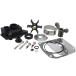 ¹͢ʡ QuickMarine 439077 Outboard Water Pump Repair Kit Replacement Evinrude Johnson 35-60 HP Boat Engine Motors 0439077 Sierra 18-3399