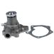 ¹͢ʡ DVPARTS Water Pump W/Gasket 3284086M92 72103891 Compatible with Massey Ferguson 1010 1020 1033 Allis Chalmers models 5215 5220 5020