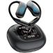 [ параллель импортные товары ] real time Ai Translator Earbuds