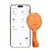 [ параллель импортные товары ] KECHOXAI T6 AI письменный перевод устройство 146 и больше. язык online &13 off линия, магнитный подставка дизайн,30 дней режим ожидания 