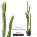 искусственная зелень большой декоративное растение человеческий труд искусственный цветок интерьер зеленый офис магазин стойка кактус 118cm C-F-1