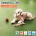 �T���Q�c HFLOOR �Z��p ���ɂ����L�t���A HW-12206�i�Ő��j���L �y�b�g ����Ȃ� �R�� ������Ǝd�グ