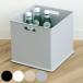  цвет box ширина класть внутренний box место хранения полный 2 шт. комплект nachu линия box пластик сделано в Японии ( место хранения box кейс для хранения старт  King )