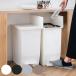 ���T�t�� �S�~�� 45L SOLOW �\���E ���F2�Z�b�g �y�_���I�[�v���X���� �i ���ݔ� 45���b�g�� ���F 2�� �y�_���� �ӂ��t�� ���J�� ���� �I�� �X���� �j