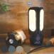 LED���C�g PG�g���p�l���\�[���[�`���[�WLED���C�g ���O �\�[���[ �i �|�X�g�W�F�l���� �A�E�g�h�A LED ���C�g USB�[�d �Ɩ� �j