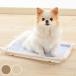  домашнее животное простыня для tray N.... простыня tray постоянный силикон ( домашнее животное простыня tray ... туалет коврик силикон коврик домашнее животное Ricci .ru)