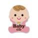  машина автограф безопасность отражающий стикер младенец ( baby BABY IN CAR машина наклейка стикер вне приклеивание модель отражающий светится Ricci .ru)