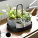  дополнительный подарок Yamazaki реальный индустрия tower дополнение tray tower руль имеется ( 4903208110365 tower серии tray дополнение . лекарство дополнение класть )