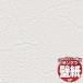 10ʾ̵ɻ  򤴼ʬŽäƤߤޤ󤫡󥲥 SP ꥷ꡼ /  SP9725 10mʾ1ñ̤