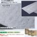ƥ 饤ȥ š65 å  鿡 CL-357-465-0 200650 100