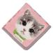 �V�F�j�[���D�n���J�` �l�R �p���_ GUGU WORLD �O�[�O�[���[���h �V�F�j�[�� �n���J�` �v���[���g �M�t�g �V�� �֘A�摜2