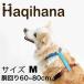 Haqihana �n�L�n�i ���p �n�[�l�X ��^���p �T�C�Y M
