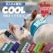  heat countermeasure water .... only. easy cooling for pets cold sensation towel dog for cooling towel / cat for cooling towel / owner for .. goods gift present birthday name inserting name inserting name entering 