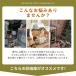 ���@�\���[�� ���u ���O ��^ �q�� ��^���u �ˊO���[�� �{���\ ���J���h�A�[ ���O���u ��e�� �X�`�[��  �����Ȃ� �֘A�摜2