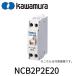 [ немедленная уплата * наличие товар ] река . электро- контейнер NCB2P2E20no- плавкий предохранитель дробильщик 2P2E 20A Smart размер ответвление схема для AC200V 2.5kA