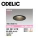 �y���[�E�݌ɕi�zLED�_�E�����C�g 100�� �I�[�f���b�N (ODELIC) OD261917R LED��̌^ �d���F �A������ ������ʔ� �����FLED ���ω΍\���Ή� �u���b�N