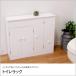 �g�C�����b�N �t���b�v���^�C�v ��60cm