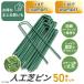 �l�H�Ńs�� �������s�� �Y �l�H�� �s�� 50�{ U�s���Y 15cm �Œ�s�� �����V�[�g u���B U���Y u���s�� �|�C���g���p ����