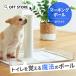 (OFT) [ dog toilet training marking paul (pole) white ] dog dog .. pet dog for toilet protruding toilet tray toilet seat 