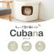(OFT) [��^ �L�g�C�� Cubana �N�o�[�i] �L �L�p �l�R �˂��p �g�C�� �傫�� �傫�� �X�v���[ �[�� �֘A�摜1