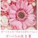 �v���U�[�u�h�t�����[ ���v �ސE�j�� �a���� �����j�� ���j�� �u�����v �v���U�[�u�h �t�����[ �M�t�g �v���[���g �d�� �җ�j�� �j�� ���� �K�[�x�� �� �֘A�摜2