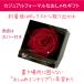 �v���U�[�u�h�t�����[ �v���[���g �� �o�� ���[�Y �a���� �ސE�j�� �����j�� �����L�O�� �M�t�g ������ ���蕨 ���j�� �l�C ���Ԃ� �l�C ���~ �� �֘A�摜3