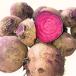  Hokkaido производство Be tsu овощи 5kg fresh beetroot сырой Be tsu овощи Beetle -to прямая поставка от производителя прохладный рейс красный Ace вид 