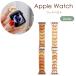 apple watch �o���h ���f�B�[�X 46 45 41 44 40 42 38mm apple watch ultra 2 49mm �E�b�h �o���h �ؐ��o���h �y�� �V���v�� ������ �ׂ� �����Y �������