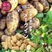  Hokkaido толщина . часть производство me-k in 10kg (2L~M размер смешивание ) новый картофель толщина . часть me-k in departure .. земля . покупка 
