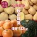  Hokkaido производство осенний тест .4 вид 10kg овощи комплект сельское хозяйство дом прямая поставка 4 вид всего 10kg осень овощи 2 вид. картофель мужчина .me-k in тыква шар лук порей бесплатная доставка . покупка 