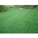 �Ő��̎�E�������΂�ۂ�TOP-GREEN 500g(��) �֘A�摜1