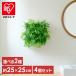  искусственная зелень орнамент wall зеленый 4 шт. комплект 25×25cm квадратный объединенный возможность интерьер модный стена поверхность зеленый . panel Iris o-yamaWG-50A/M *
