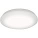 LED�V�[�����O���C�g 6�� �A�C���X�I�[���} LED �V�[�����O���C�g ���� ���F �^�C�v CL6DL-N1���S�����ۏؑΏ�