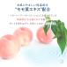 ������@�� ����@�� ���K�@�� 80�� 36�Z�b�g �E�F�b�g�e�B�b�V�� �E�G�b�g�e�B�b�V�� �Ԃ����̂��K�@�� �����t�G�L�X �֘A�摜5