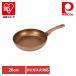 �p�[������ �t���C�p�� 26cm IH �K�X�ΑΉ� VISIONS GOLD Coating �S�[���h CP-8812 �p�[������