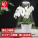 �A���琬 �v�����g ���| �A�� �ϗt�A�� �J�� �H�p�n�[�u ���z�� ������ ���C�g �A���琬���C�g �������ݎ��@285lm TT-YG02NA2A-W