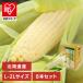  кукуруза Hokkaido прямая поставка от производителя . сельское хозяйство производство овощи подарок белый .. Hokkaido производство белый кукуруза 8шт.@( оплата при получении не возможно ) (TD)