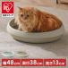 кошка туалет кошка туалет большой круглый скол .. нет кошка для туалет кошка туалет модный корпус . кошка sinia лопата есть compact Iris o-yamaPNE-480