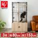  cat cage cat cage 3 step large gauge stylish toilet .. cat house storage pet cage Iris o-yama.. house cat Land cage PKC-800