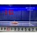 (A243)a рубин ручка rochi ho Pro [3 шт комплект ]±4cm